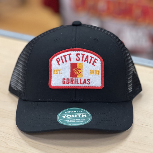 Youth PSU Townie Legacy Hat- Black, Grey