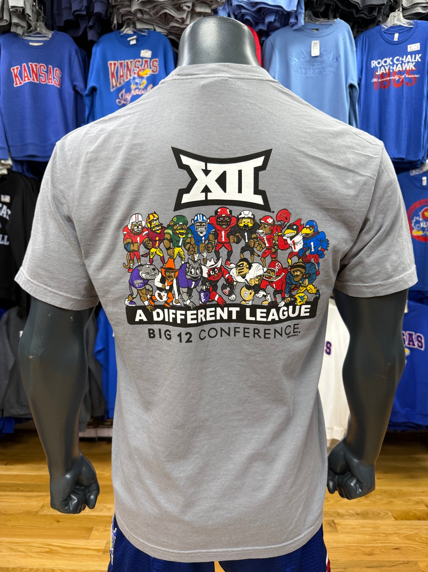Big 12 Mascot Tee - Grey