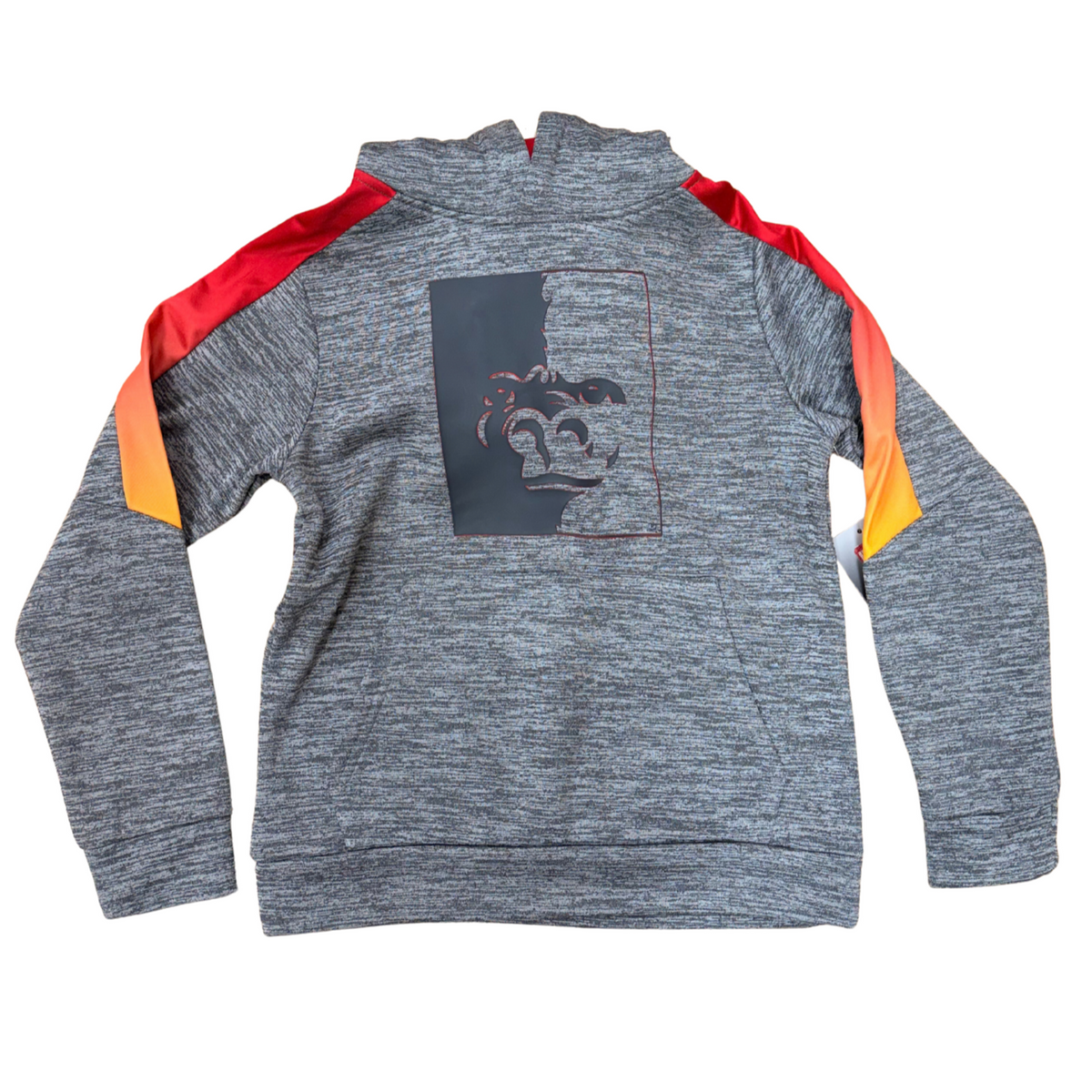 PSU Split Face Gang Youth Hoodie - Grey